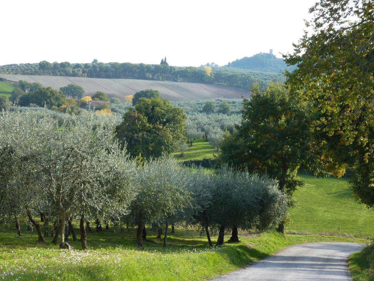 Genius Loci Country Inn Bevagna Exterior photo